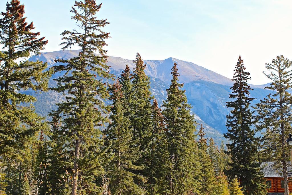 Luxury Canmore Vacations Esterno foto